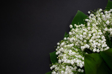 Lily of the valley flowers on a black background 7
