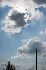 silhouette of stork standing on big chimney
