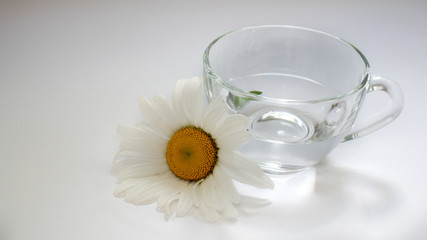 Transparent glass cup with chamomile and water 2