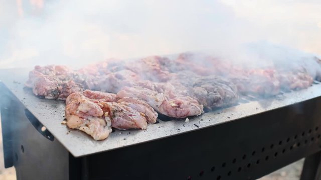 Grilled chicken. Grilled chicken meat, drumsticks with addition garlic, onion and rosemary on grill BBK. Grill food, 4K