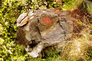 Rock macro background fine art in high quality prints products 50,6 Megapixels