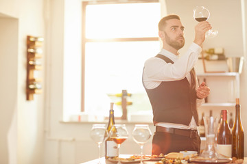 Waist up portrait of professional sommelier holding glass to sunlight during wine tasting session in winery, copy space