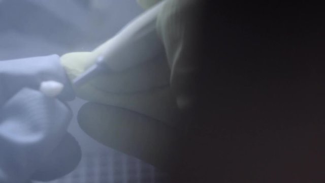 Dental technician polishing artificial ceramic teeth using sandblaster in the dental lab. Professional wearing gloves while holding fake teeth in hand and polishing it with sand blaster