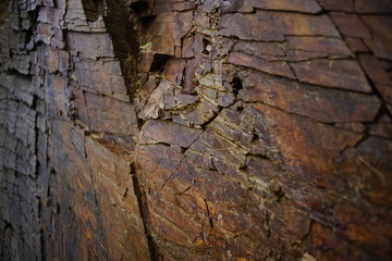 red rocks