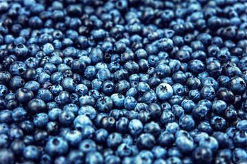 Viele frische Blaubeeren, Beeren und Ernte