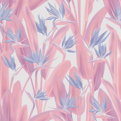 Tropical crane flower vector seamless pattern. Jungle plant paradise tropical summer fabric design. South African plant tropical blossom of crane flower, strelitzia. Floral wallpaper.