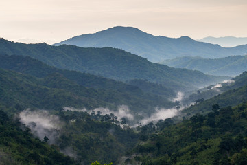 Complexity of mountain landscape and tree diversity of forest with morning mist in valley