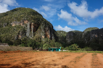 View of Cuban landscape in Vinales Valley National Park with tobacco farms, fields, plantations, hills, cows, beautiful Cuban nature and tropical vegetation. Vinales valley, Cuba