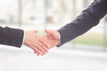 Two business people shaking hands