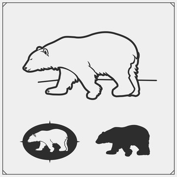 Polar bear silhouettes. Print design for t-shirt. Emblem design template.