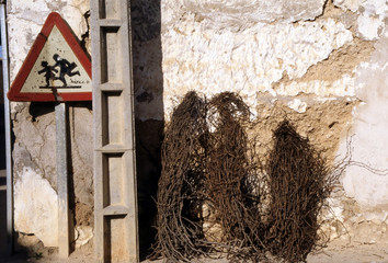 Old traffic signal and branches for firewood