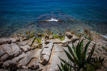 M&eacute;diterran&eacute;e 