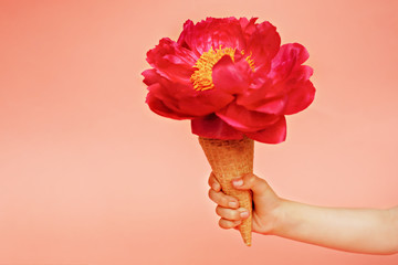 Red peony in waffle cone in baby hand
