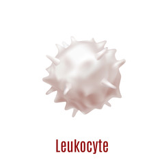 White Blood Cell Leukocyte in Realistic Style
