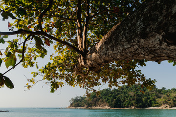 Tropical Island Beaches