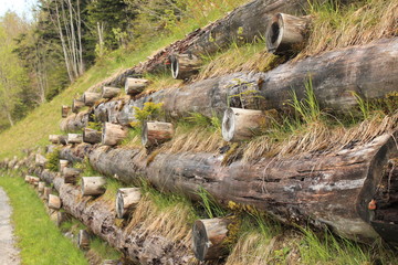 Strengthening mountain slopes with logs along tourist routes. Journey through mountain trails of Switzerland. Outdoor. Selective focus.