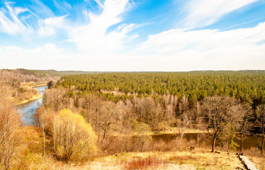 Beautiful landscape with forest, pine trees, oaks, river, sky and clouds 