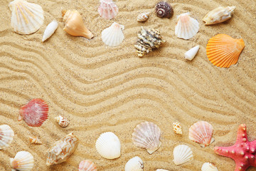 Different seashells on beach sand