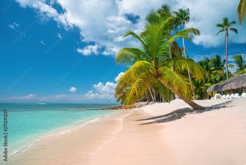 Canvas Prints tropical caribbean island saona, dominican republic. beautiful beach, palm trees and clear sea.