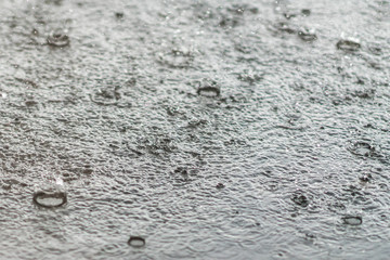 rain gray background. Drops on a puddle