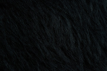 Cow black fur tetxure
