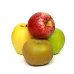Naklejka na ściany i meble Différentes variétés de pommes