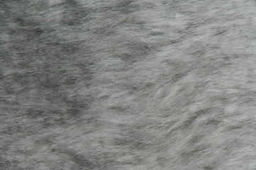 Grey soft fur background
