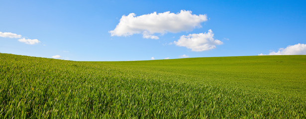 Campagne et agriculture sur fond de ciel bleu