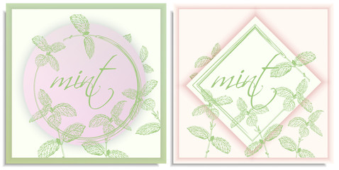 Fototapeta na wymiar Vector set of postcards templates, invitation with hand-drawn graphics sprigs of beautiful mint, Gently color shades of green, white, pink gradient. Lettering: mint, you can change or use as it is