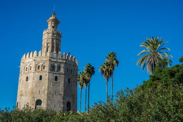 Fototapeta na wymiar The Torre del Oro tower in Seville, Spain.