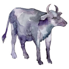 Cow farm animal in a watercolor style isolated. Aquarelle wild animal for background.