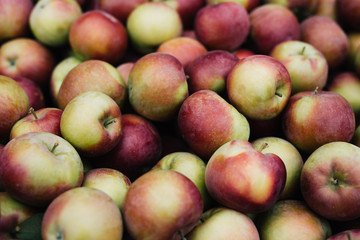 Fresh apples in a wooden crate