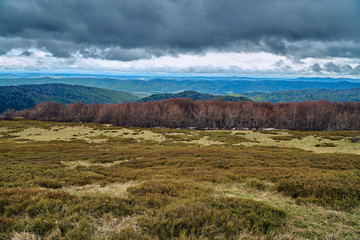 A beautiful panoramic mysterious view of the forest in the Bieszczady mountains (Poland) on a misty rainy spring May day, nature is lonely - without people