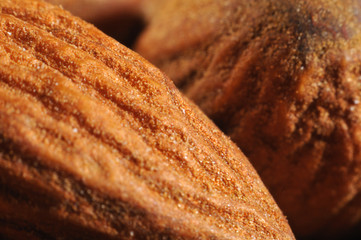 extreme close-up of the husk of an almond