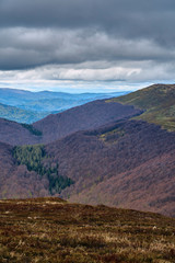 Fototapeta premium A beautiful panoramic mysterious view of the forest in the Bieszczady mountains (Poland) on a misty rainy spring May day, nature is lonely - without people