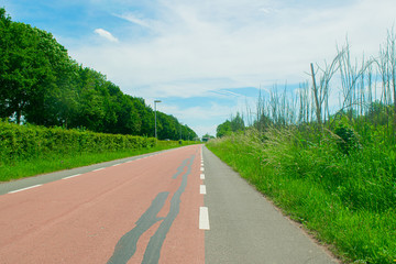 Fototapeta na wymiar Dutch bike lane in the nature