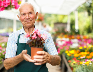 Older man in greenhouse