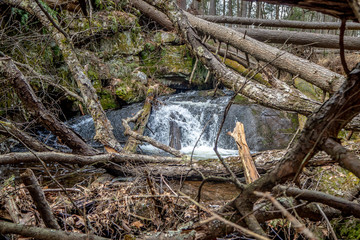 small waterfall through trees in forrest