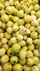 Bulk of guavas on the shelf of a supermarket. Typical tropical fruit in Latin America, rich in...