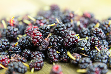 Fresh Organic Indiana Mulberries