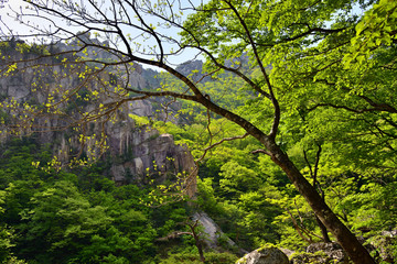 North Korea. Diamond mountains. Mt.Kumgang