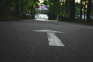 Obraz premium white arrow marked on the asphalt in the park, symbolizes the direction of movement