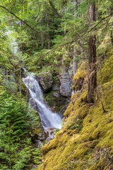 Fototapeta na wymiar Majestic waterfall in Vancouver, Canada. View with mountain background.