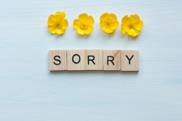 Word sorry and flowers on blue background.