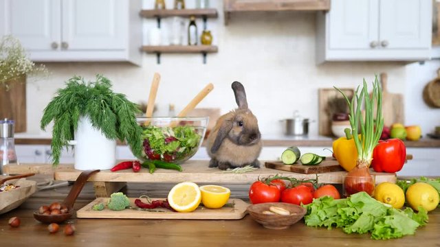 Rabbit And Fresh Green Salad Close Up On A Wooden Table In Rustic Kitchen.