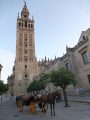 Naklejka na ściany i meble Seville, capitall city of Andalusia.Spain
