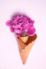the waffle cup with a big pink peony on a blue background