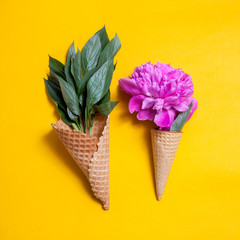 waffle cone with a big pink peony on yellow background. Creative design for pastel wallpaper.