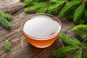 Syrup made from young spruce tips in a bowl