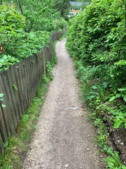 Obraz premium Fuschlsee Austria